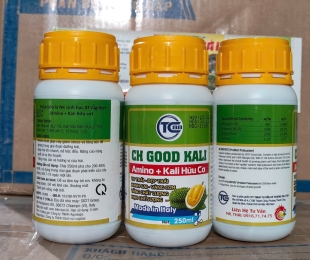 ch-good-kali