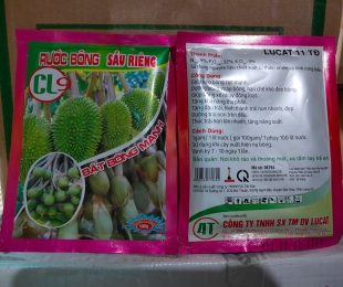 ruoc-bong-sau-rieng