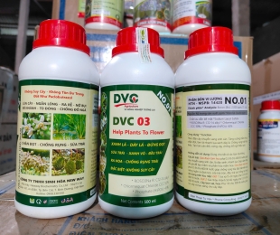 dvc-03