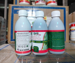 dvc-02